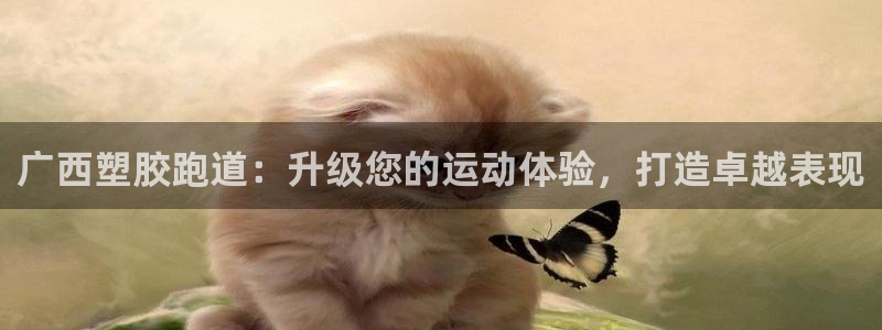 红足1世足球：广西塑胶跑道：升级您的运动体验，打造卓越表现