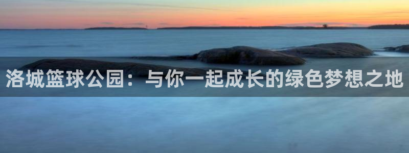 红足1世足球：洛城篮球公园：与你一起成长的绿色梦想之地