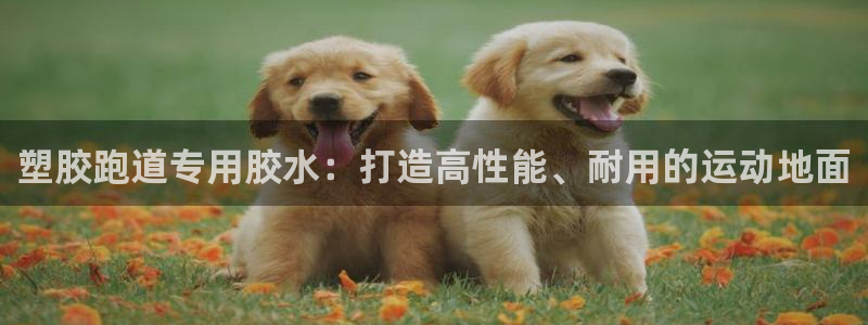 红足一1世666814足球：塑胶跑道专用胶水：打造高性能、耐用的运动地面