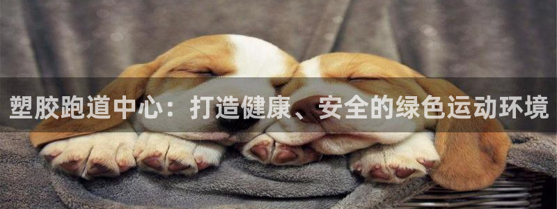 红足 世足球手机网：塑胶跑道中心：打造健康、安全的绿色运动环境