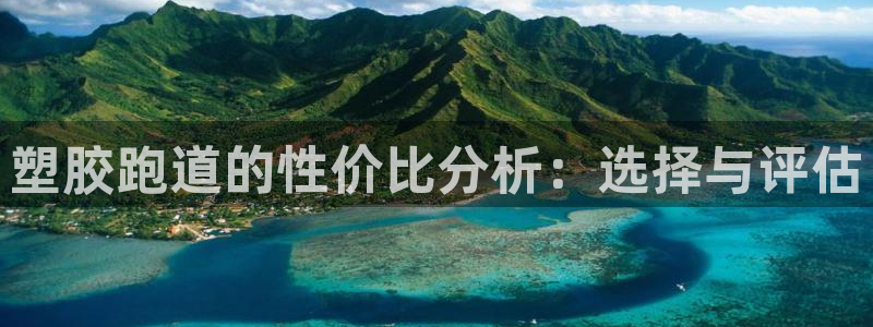 红足1世手机板：塑胶跑道的性价比分析：选择与评估