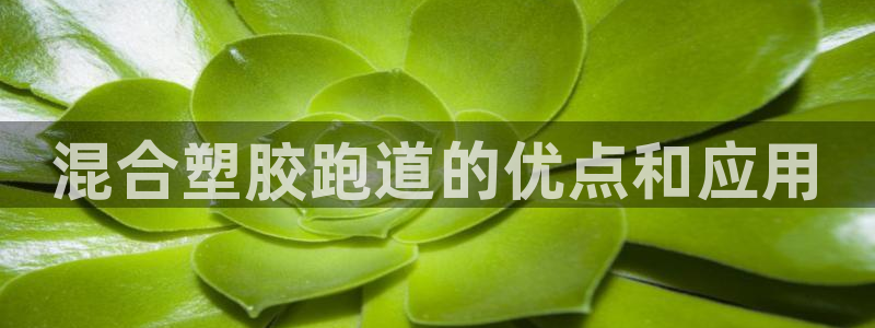 红足一1世比分：混合塑胶跑道的优点和应用