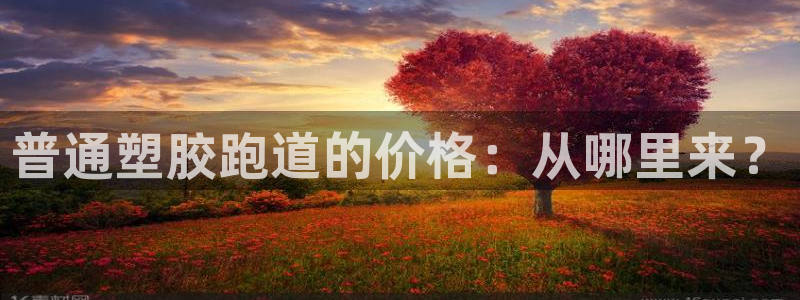 333814红足1世：普通塑胶跑道的价格：从哪里来？