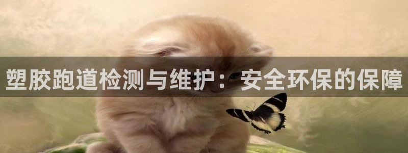 4633333开奖结果4176一点红：塑胶跑道检测与维护：安全环保的保障