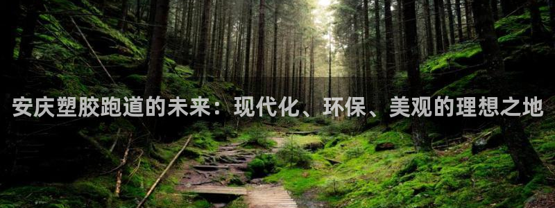 红足1世足球网址大全：安庆塑胶跑道的未来：现代化、环保、美观的理想之地