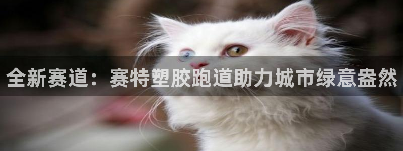 红足一1世官网足球推荐真人：全新赛道：赛特塑胶跑道助力城市绿意盎然