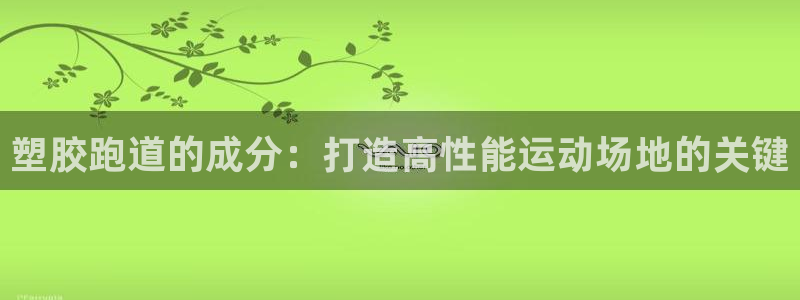 红足一1世：塑胶跑道的成分：打造高性能运动场地的关键