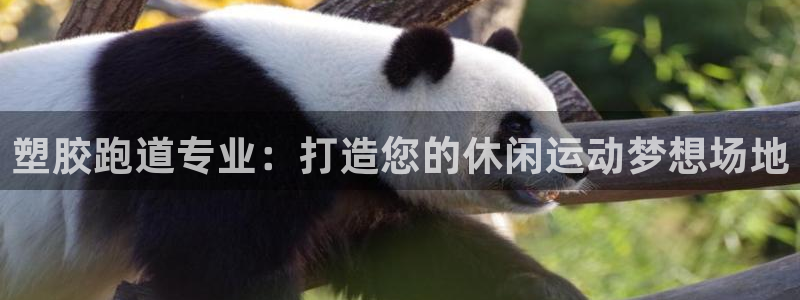 红足一1世皇冠：塑胶跑道专业：打造您的休闲运动梦想场地