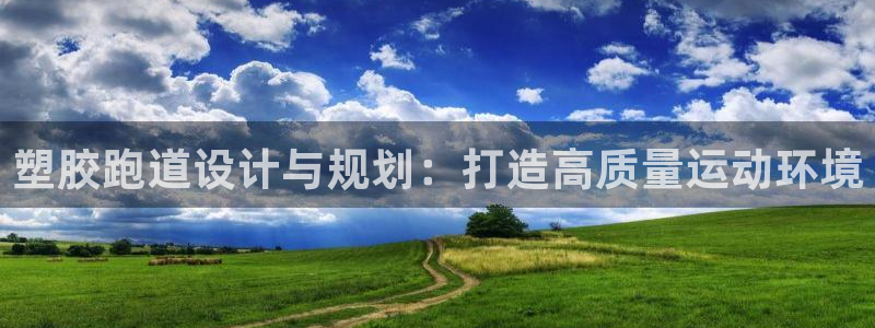 百度红足一1是什么样子的：塑胶跑道设计与规划：打造高质量运动环境