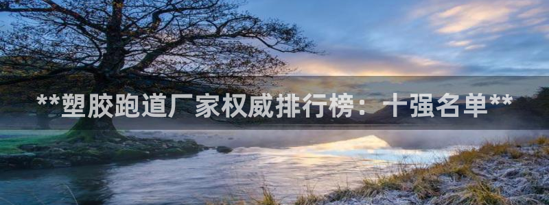 百度红足一1视频在线观看：**塑胶跑道厂家权威排行榜：十强名单**