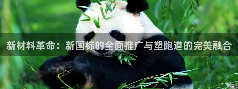 红足一球：新材料革命：新国标的全面推广与塑跑道的完美融合