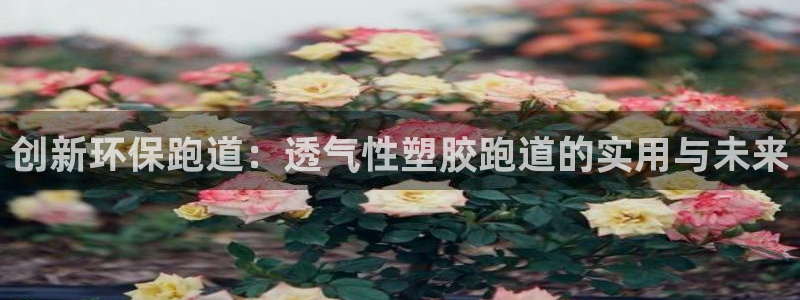 红足1世1站：创新环保跑道：透气性塑胶跑道的实用与未来