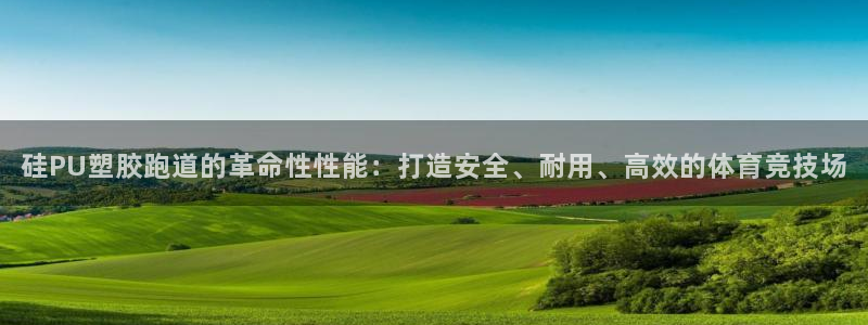 百度红足一1是为什么：硅PU塑胶跑道的革命性性能：打造安全、耐用、高效的体育竞技场
