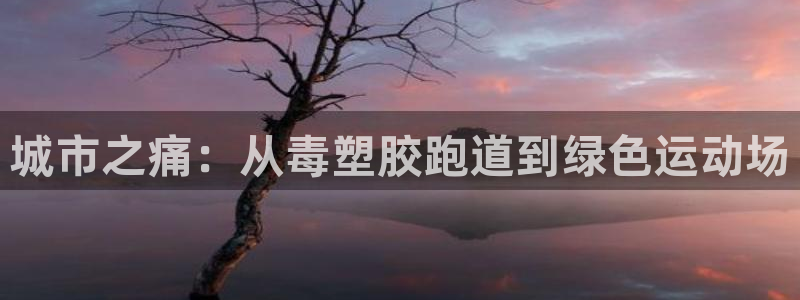 红足一1世66814：城市之痛：从毒塑胶跑道到绿色运动场