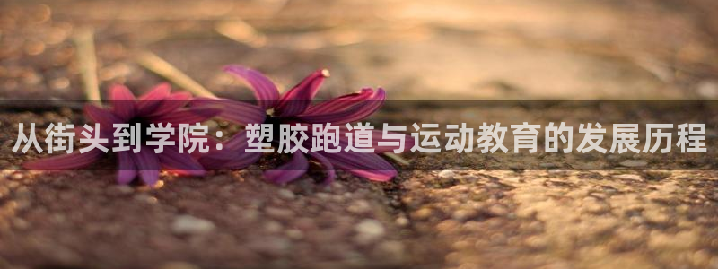 红足一1世官网足球推荐真人