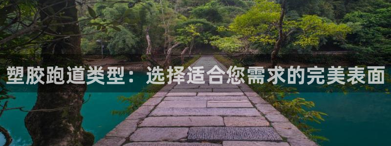 红足1世足球比分：塑胶跑道类型：选择适合您需求的完美表面