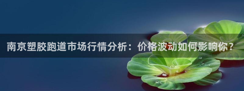 百度红足一1是为什么：南京塑胶跑道市场行情分析：价格波动如何影响你？