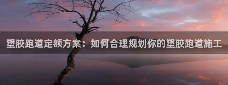 红足一1世：塑胶跑道定额方案：如何合理规划你的塑胶跑道施工