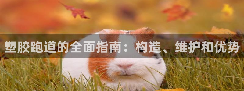 红足一丰：塑胶跑道的全面指南：构造、维护和优势