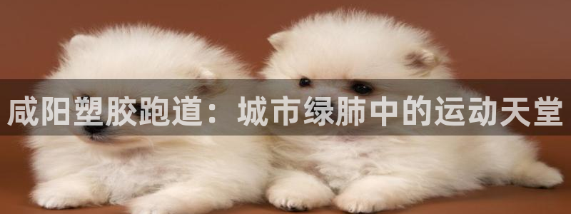 百度红足一1是什么样子的：咸阳塑胶跑道：城市绿肺中的运动天堂