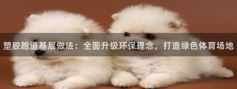 红足i世足球手机网：塑胶跑道基层做法：全面升级环保理念，打造绿色体育场地