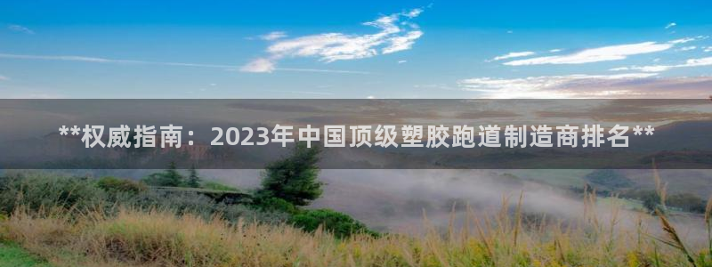 百度红足一1世：**权威指南：2023年中国顶级塑胶跑道制造商排名**