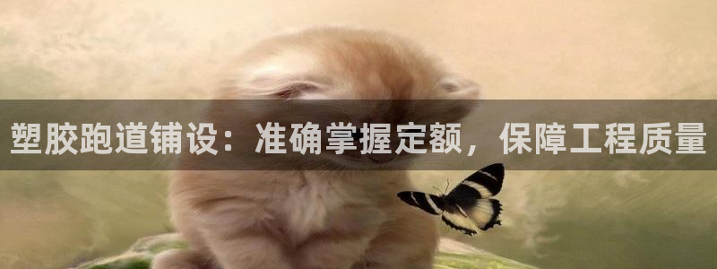 百度红足一1使用说明：塑胶跑道铺设：准确掌握定额，保障工程质量