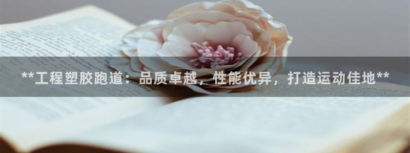 红足一1世比分球探：**工程塑胶跑道：品质卓越，性能优异，打造运动佳地**