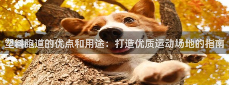 红足一1世平台：塑料跑道的优点和用途：打造优质运动场地的指南