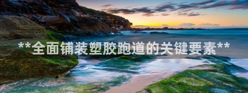 777814红·足一世：**全面铺装塑胶跑道的关键要素**