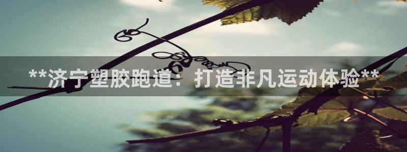 777814红·足一世比分：**济宁塑胶跑道：打造非凡运动体验**