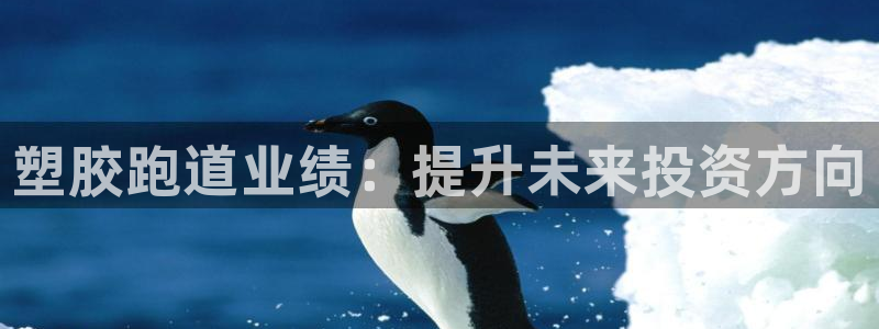 66814红足一66814世：塑胶跑道业绩：提升未来投资方向