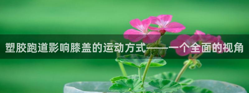 红足一1世手机版赛果：塑胶跑道影响膝盖的运动方式——一个全面的视角