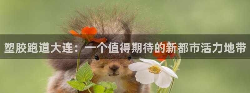 红足一1世比分网：塑胶跑道大连：一个值得期待的新都市活力地带