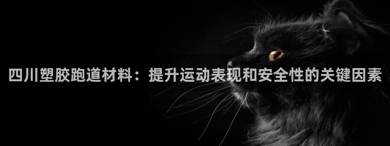 红足1世足球网址大全：四川塑胶跑道材料：提升运动表现和安全性的关键因素