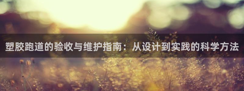 红足一1世官网足球推荐真人：塑胶跑道的验收与维护指南：从设计到实践的科学方法