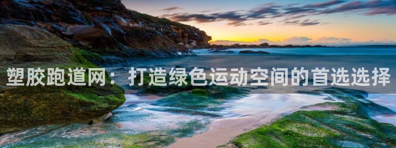 新2足球平台出租网站：塑胶跑道网：打造绿色运动空间的首选选择