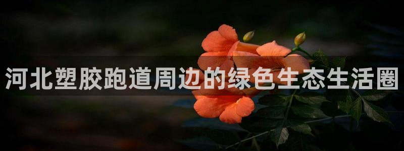 百度红足一1视频在线观看：河北塑胶跑道周边的绿色生态生活圈