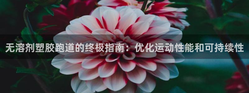百度红足一1是什么样子的：无溶剂塑胶跑道的终极指南：优化运动性能和可持续性