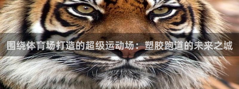 红足1世1站：围绕体育场打造的超级运动场：塑胶跑道的未来之城