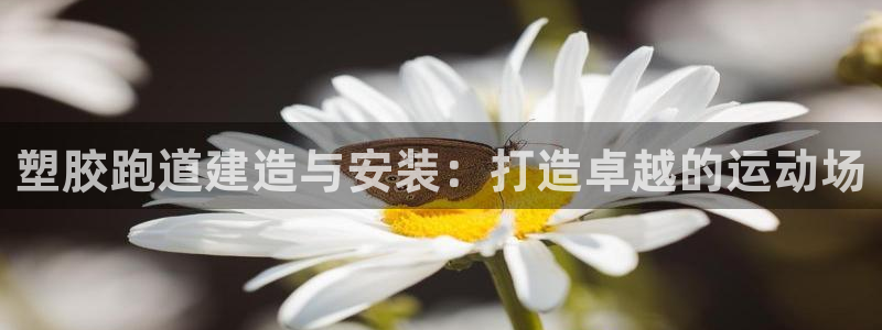 红足一1世比分球探:塑胶跑道建造与安装:打造卓越的运动场