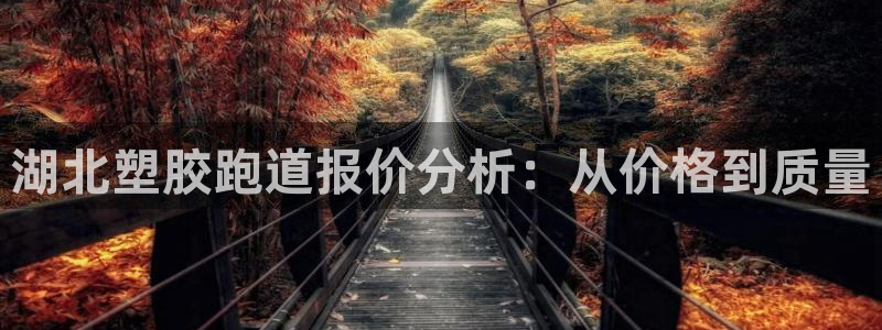 红足1世官网:湖北塑胶跑道报价分析:从价格到质量