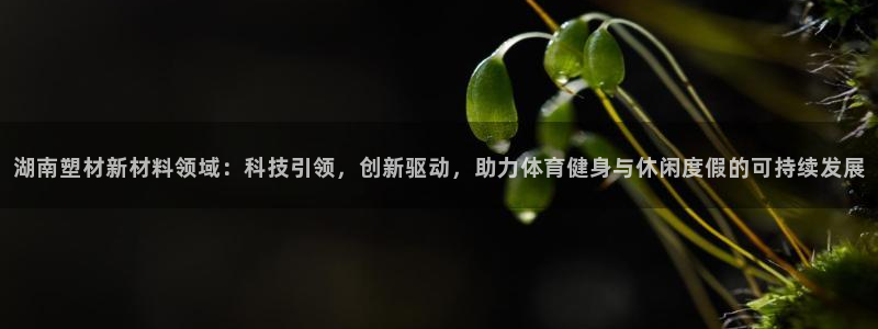 红足一1世官网足球推荐真人:湖南塑材新材料领域:科技引领,创新驱动,助力体育健身与休闲度假的可持续发展