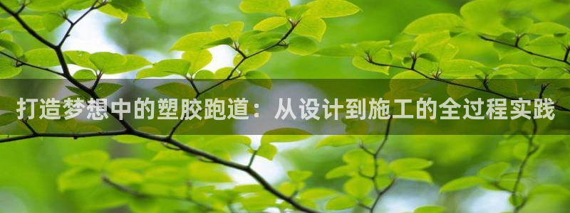 红足一1世皇冠：打造梦想中的塑胶跑道：从设计到施工的全过程实践
