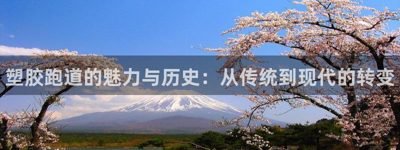 红足1世足球:塑胶跑道的魅力与历史:从传统到现代的转变