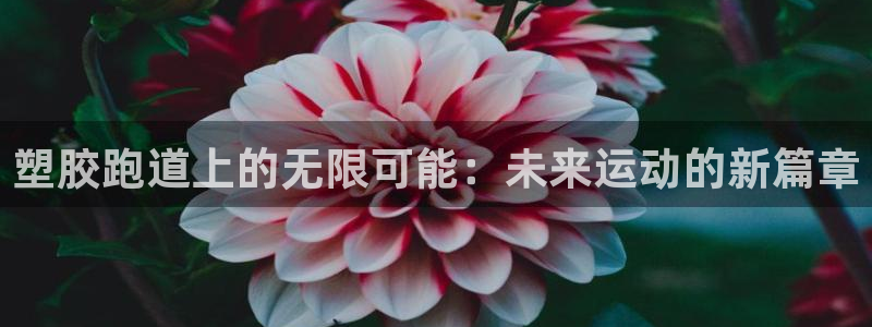 红足1世足球网址：塑胶跑道上的无限可能：未来运动的新篇章