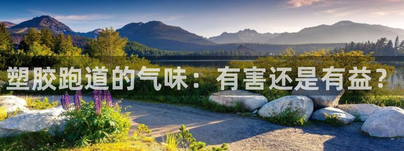 红足一生世：塑胶跑道的气味：有害还是有益？