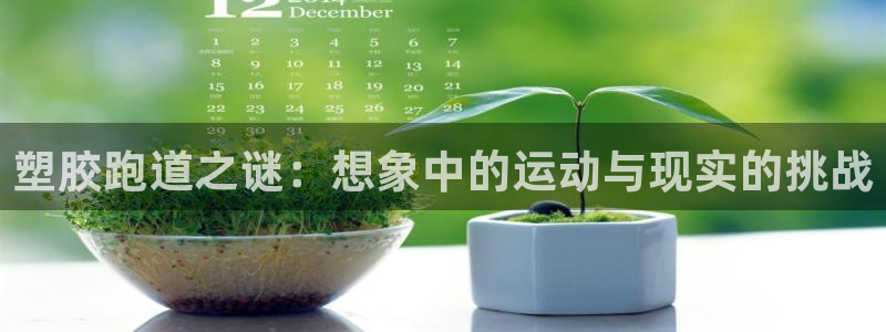 66814红足一66814世：塑胶跑道之谜：想象中的运动与现实的挑战