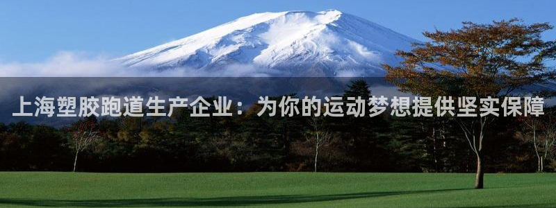红足一1世皇冠地址：上海塑胶跑道生产企业：为你的运动梦想提供坚实保障