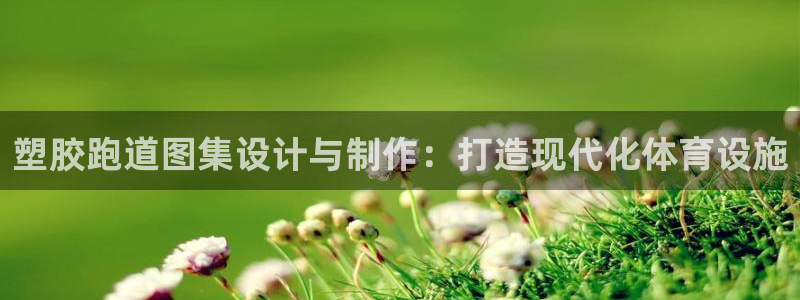 红足一丰：塑胶跑道图集设计与制作：打造现代化体育设施